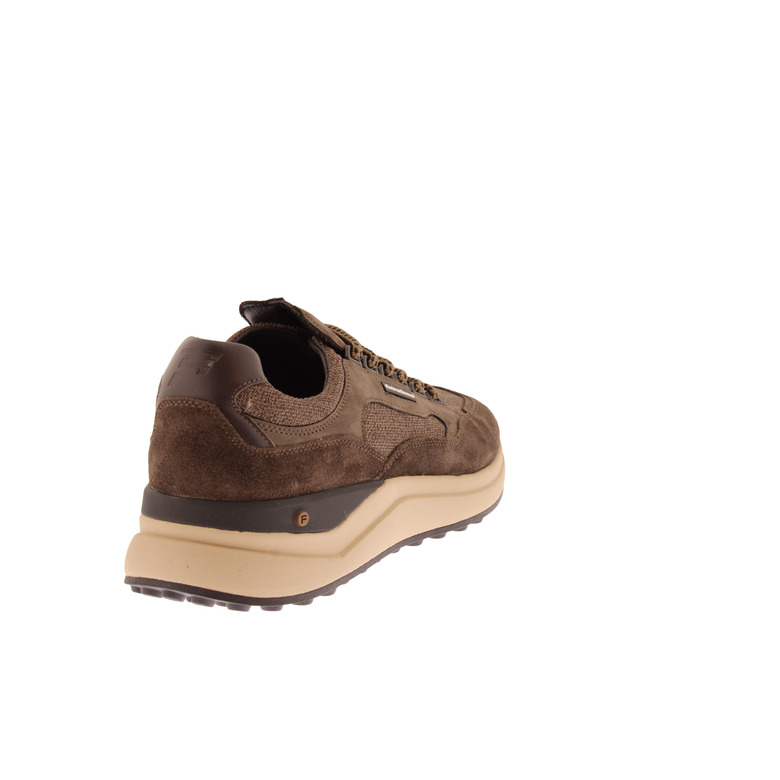 Floris Van Bommel sneakers braun 4
