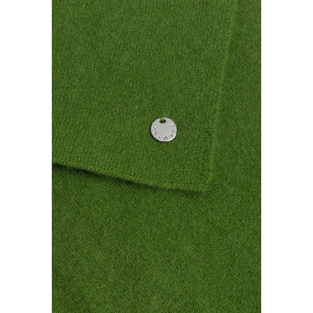 Xandres Cashmere echarpe vert