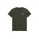 Antwrp t-shirt vert 1