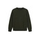 Antwrp sweater groen 1