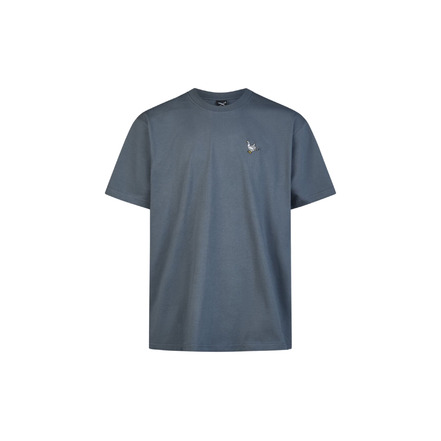 Iriedaily t-shirt grau