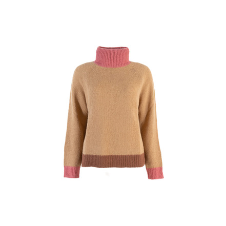 Niu trui camel