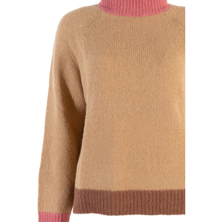 Niu trui camel