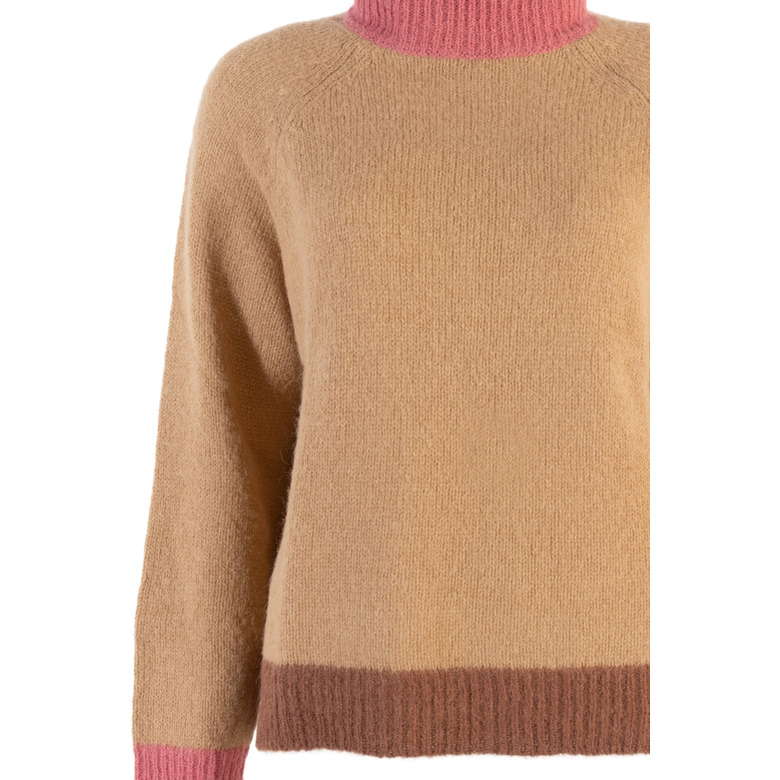 Niu trui camel 2