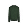 Iriedaily pull vert 2