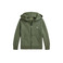 Ralph Lauren hoodie green 1