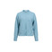 Object trui blauw
