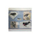 Talking Walls scarf blue 1