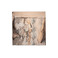 Talking Walls scarf lightbrown 1