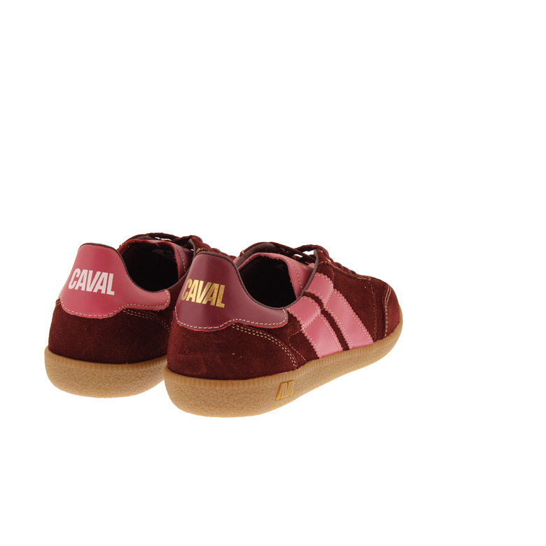 Caval sneakers bordeaux 4