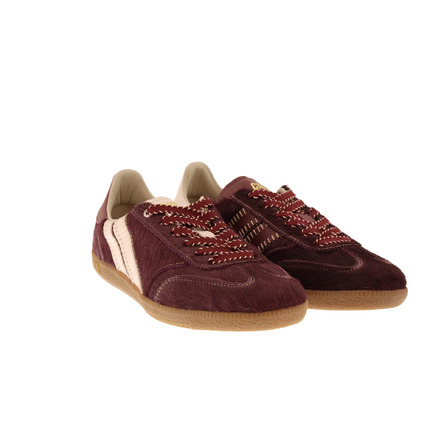 Caval sneakers bordeaux