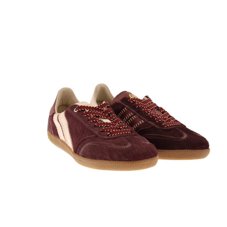Caval sneakers bordeaux 2