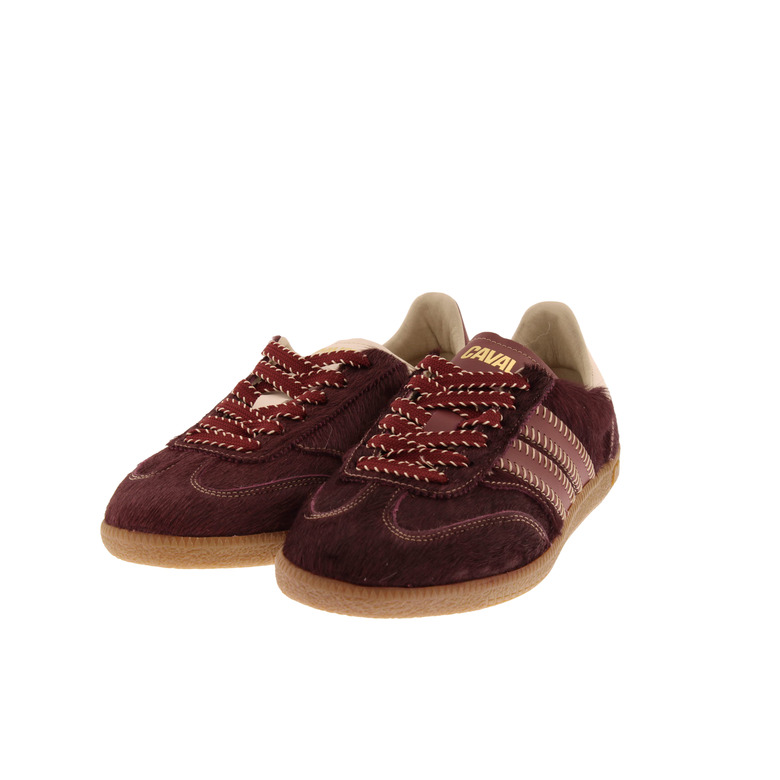 Caval sneakers bordeaux 3