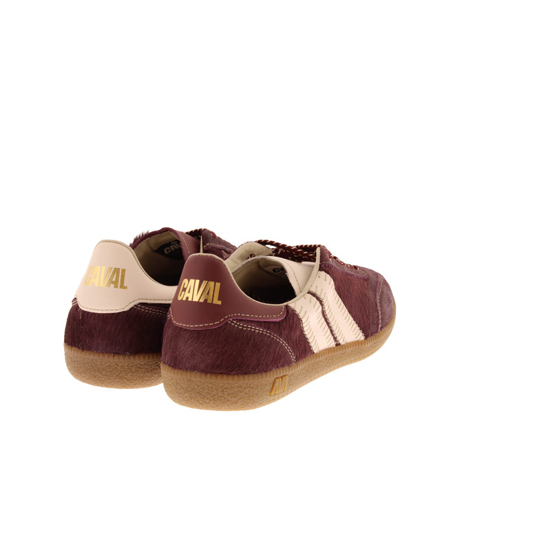 Caval sneakers bordeaux 4