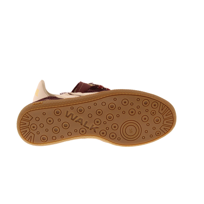 Caval sneakers bordeaux 5