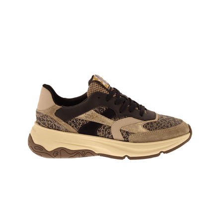 Floris Van Bommel sneakers taupe