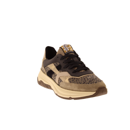 Floris Van Bommel sneakers taupe