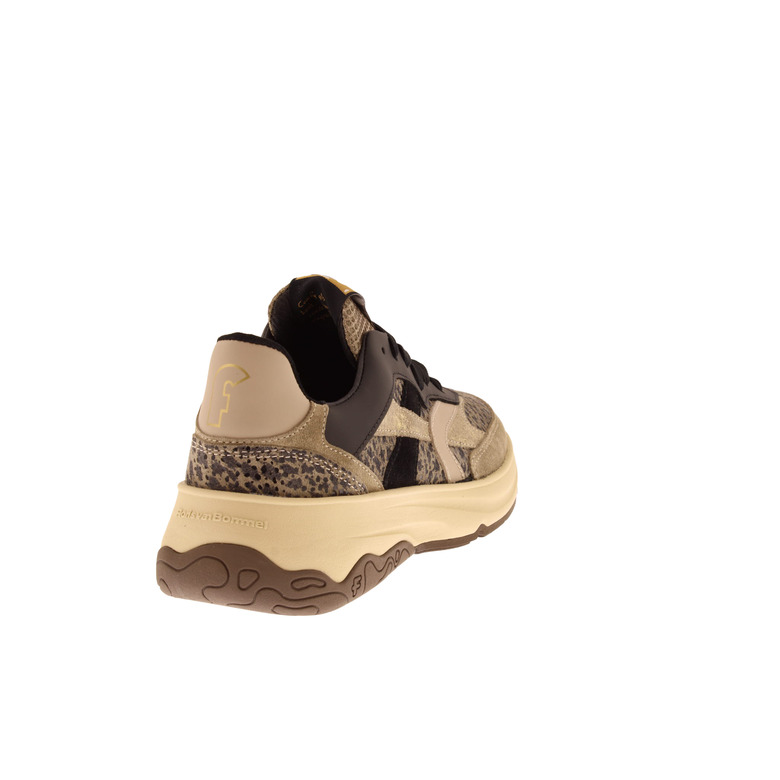 Floris Van Bommel sneakers taupe 4