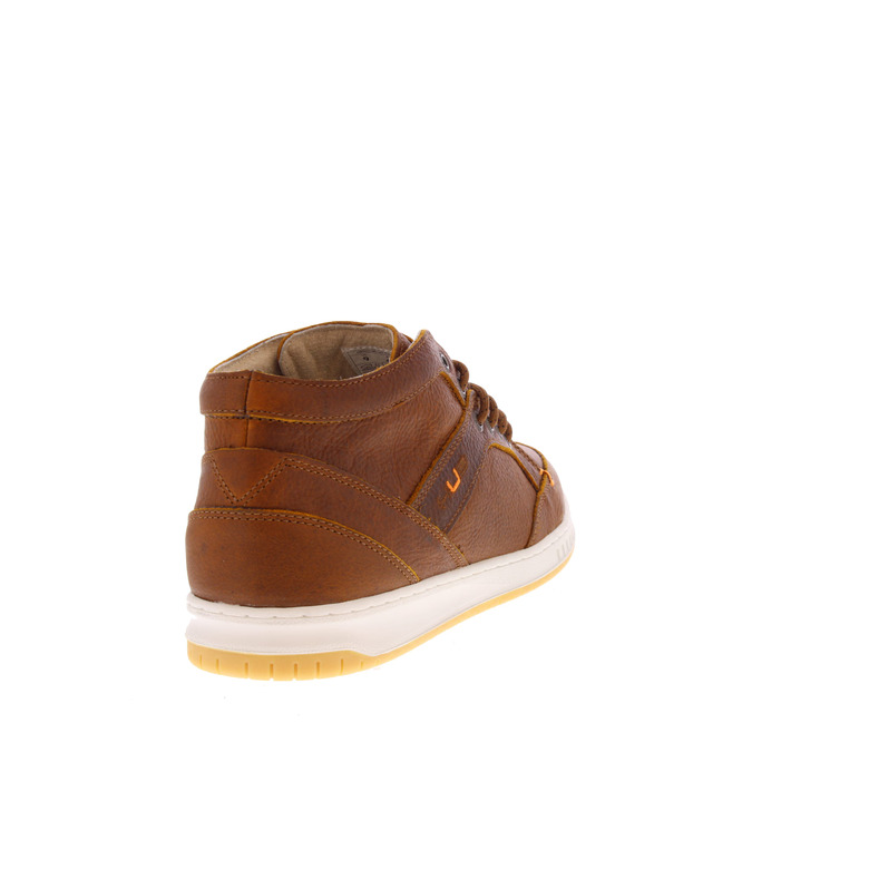 Hub sneakers cognac 4