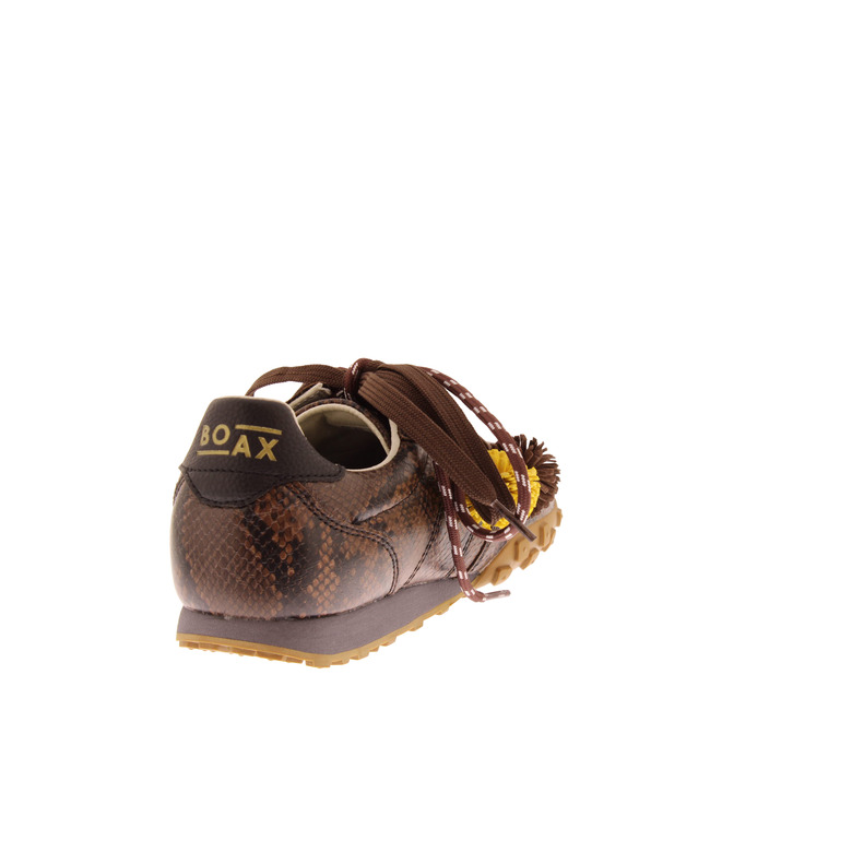 Boax Studio sneakers bruin 4