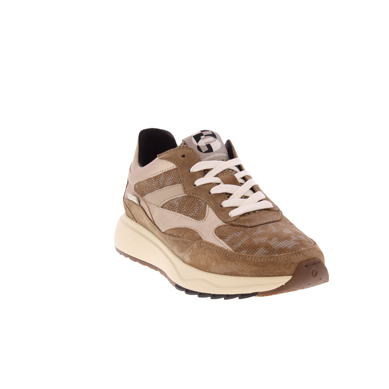 Floris Van Bommel sneakers taupe 2