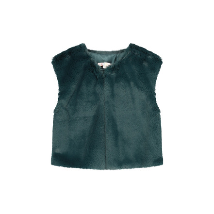 Blue Bay vest groen