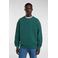 Dickies sweater green 2
