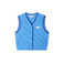 American Vintage vest blue 1