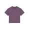 Dickies t-shirts violet 1