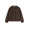 Carhartt Wip sweater brown 1