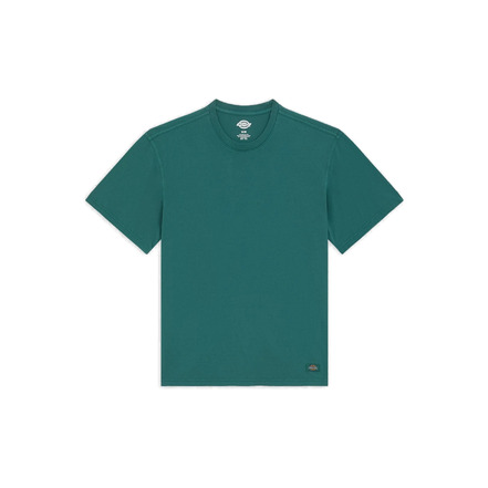 Dickies t-shirt ---
