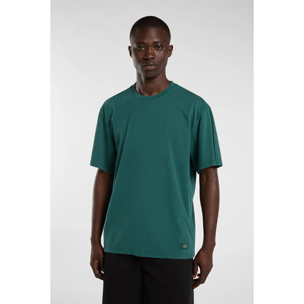 Dickies t-shirt ---