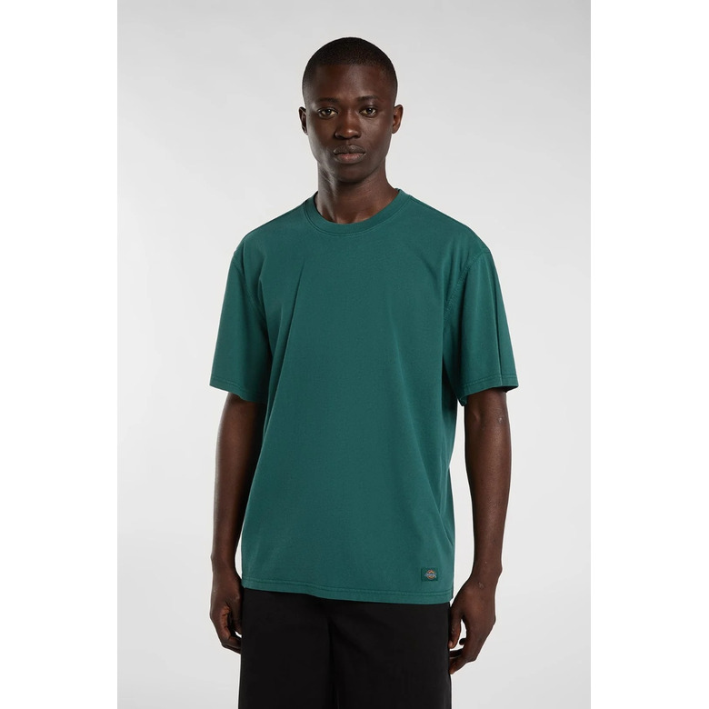 Dickies t-shirt --- 2