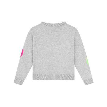 Someone Kids sweater grey
