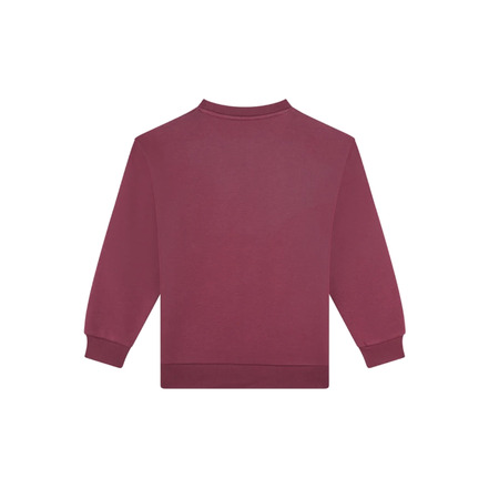 Someone Junior Meisjes trui bordeaux