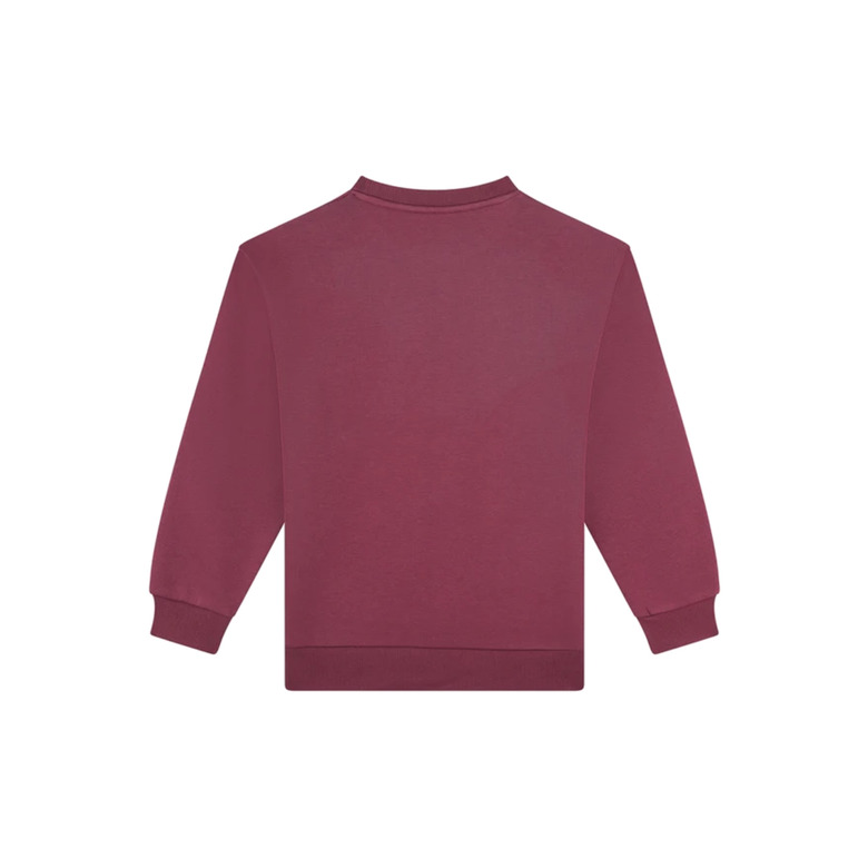 Someone Junior Meisjes trui bordeaux 2