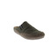 Verbenas pantoffels groen 2