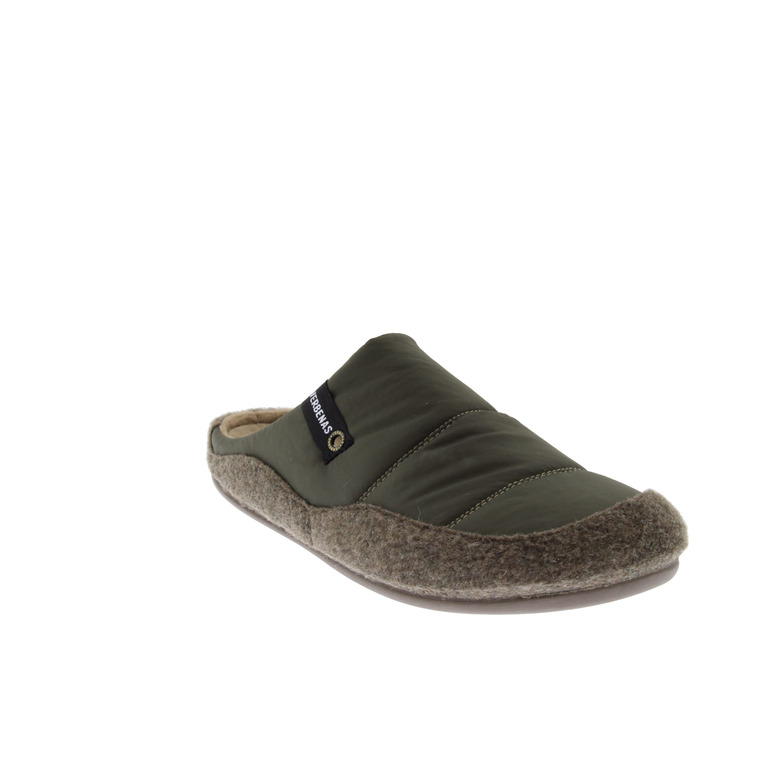 Verbenas pantoffels groen 2