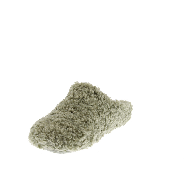 Verbenas pantoffels groen 3