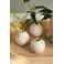 Rader kerst wit 2