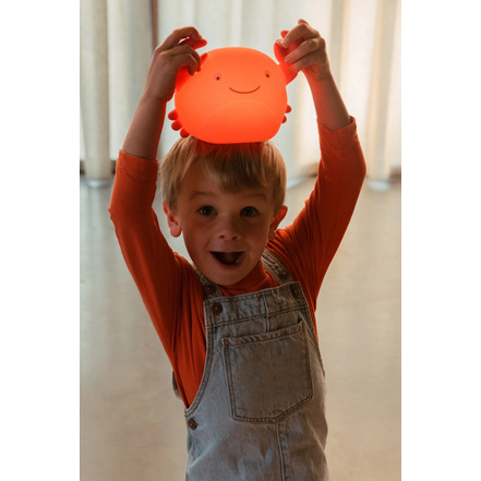 Ap Junior kinderkamer rood