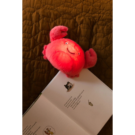 Ap Junior kinderkamer rood