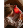 Ap Junior kinderkamer rood 3