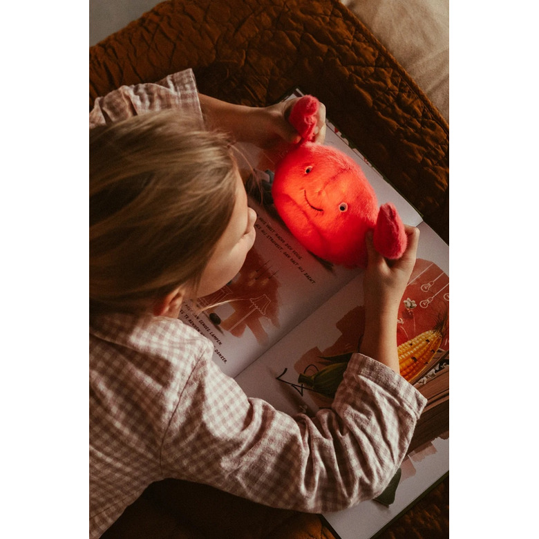 Ap Junior kinderkamer rood 3