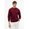 Tommy Hilfiger sweater bordeaux 2