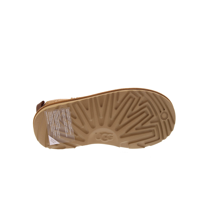 Ugg boots cognac 5