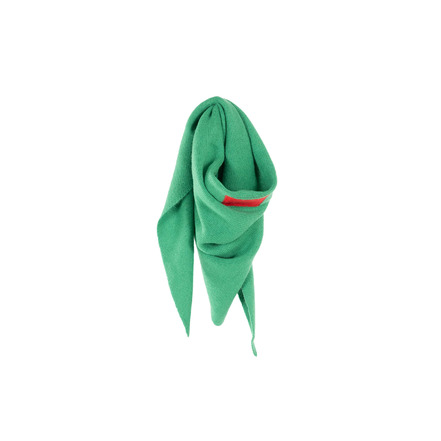 Collectors Club echarpe vert