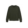 Antwrp sweater green 1
