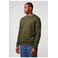 Antwrp sweater green 2