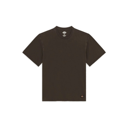 Dickies t-shirt zwart
